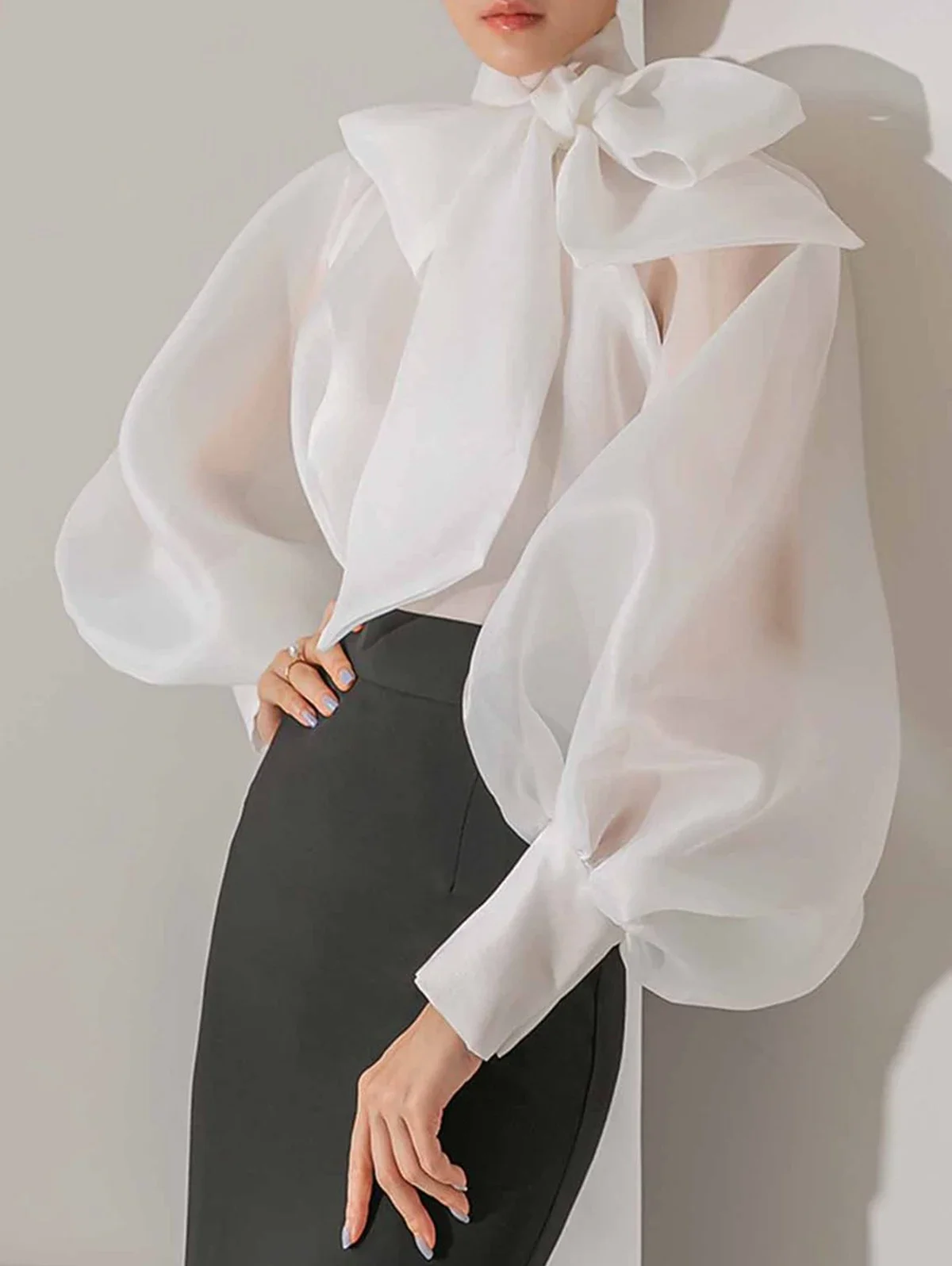 Women's Elegant Lantern Sleeve - Street Fashion Necklace recension och pris