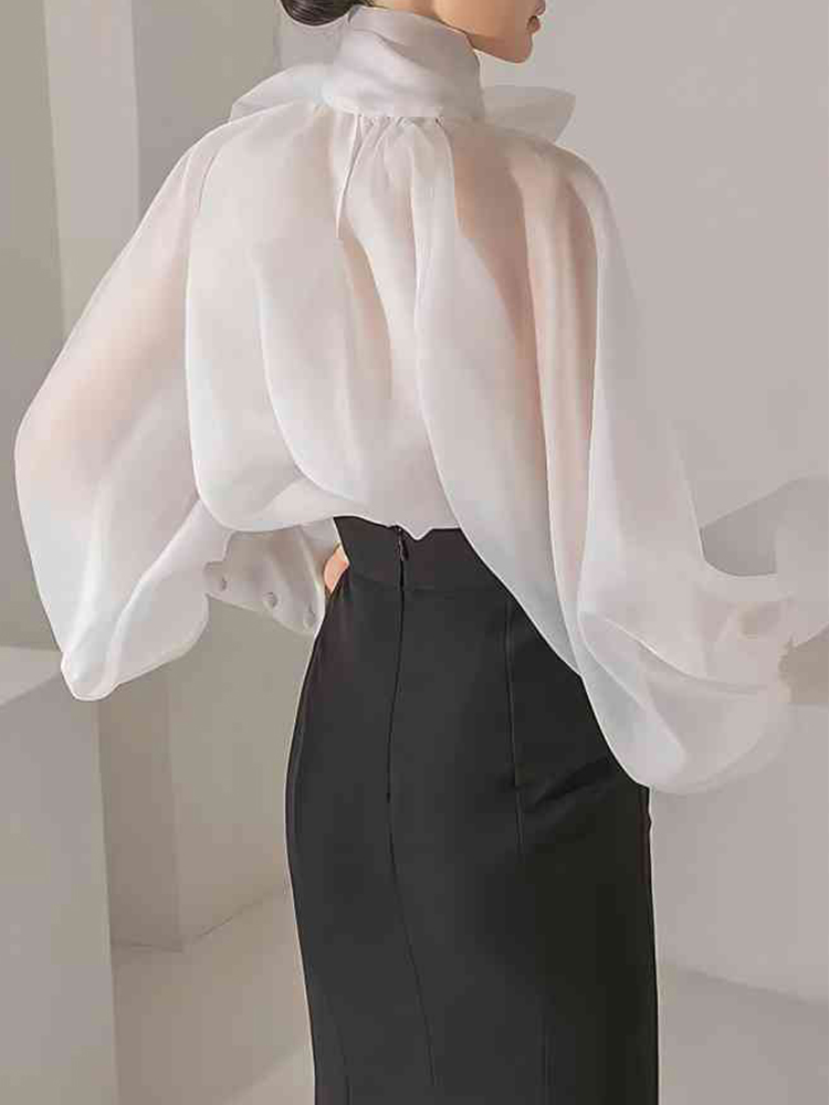 Women's Elegant Lantern Sleeve - Street Fashion Necklace recension och pris